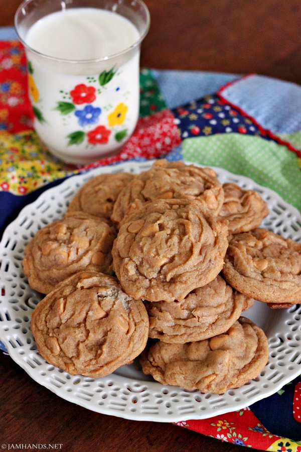 Soft Butterscotch Pudding Cookies