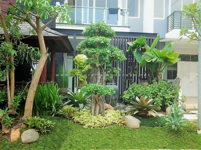 Taman Tropis Depan Rumah
