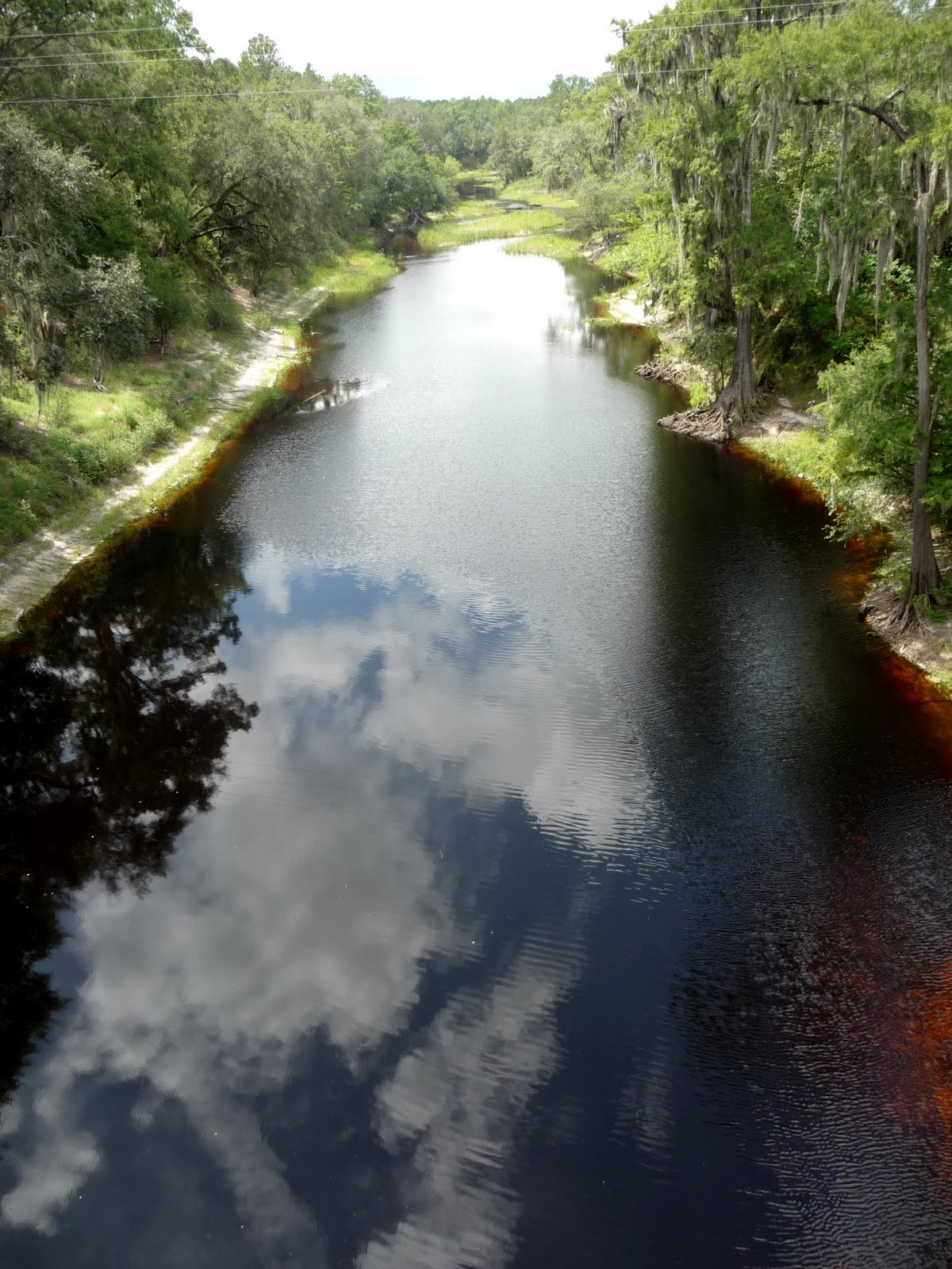 seth t beatty jasper florida seth t beatty jasper florida