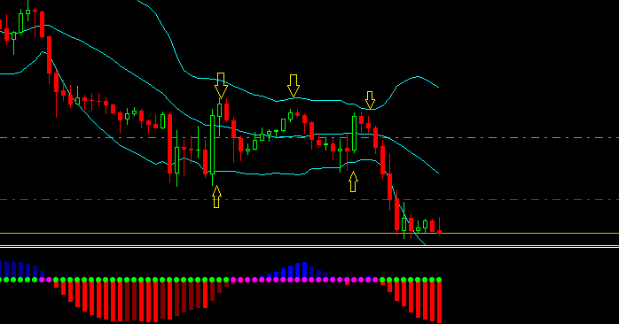 Forum trading option indonesia