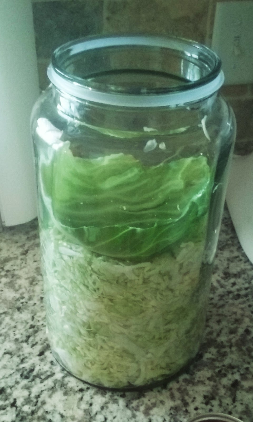 Skip The Bag Homemade Sauerkraut