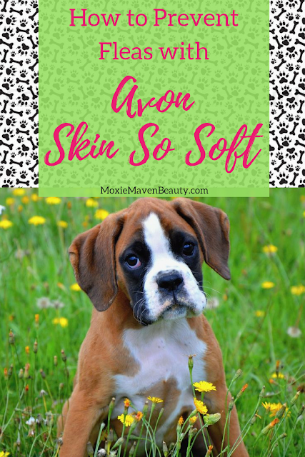 Skin so soft fleas