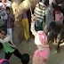 Wife Flogged 100 Times By Husband & Then 'Sexually Assaulted' By Crowd For Adultery