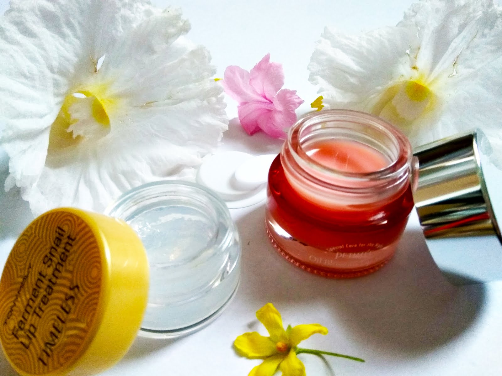 Malaysian Beauty Haul Review] Petitfee Oil Blossom Lip