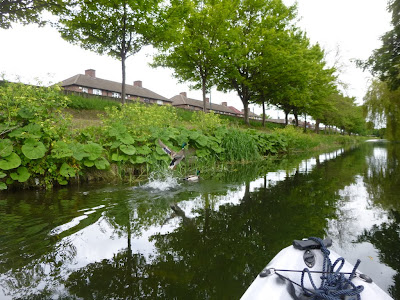 The Grand Canal in Dublin viewed from the water