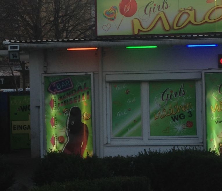 Das Wesen der Prostitution in Schweden und den Niederlanden (German Edition)