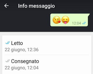 info messaggio letto letto e visualizzato in whatsapp