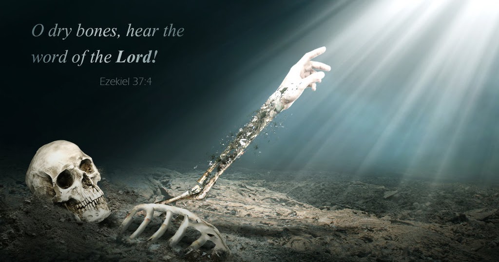 Shepherd's Blog I Call Out To Dry Alive!