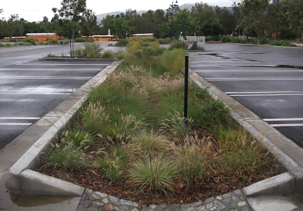 stormwater bioswale failure