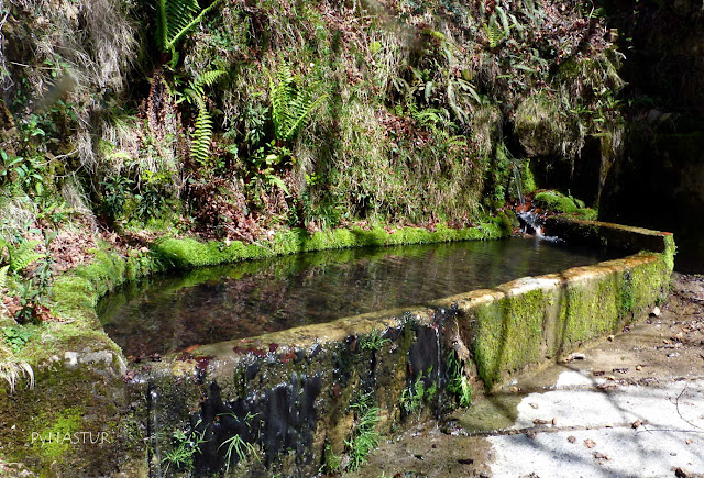 Fuente cerca del Corralín Fuente cerca del Corralín