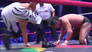 [IMAGE:https://4.bp.blogspot.com/-r1vYIpbXd08/XJ-MKGHbfUI/AAAAAAABOXM/1WqXmOCW730nCXldtmvRXQ8wwberwNvgQCLcBGAs/s1600/Enzuigiri%2BKick.gif]