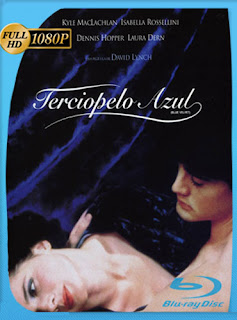 Terciopelo Azul (1986) HD [1080p] Latino [GoogleDrive] chapelHD