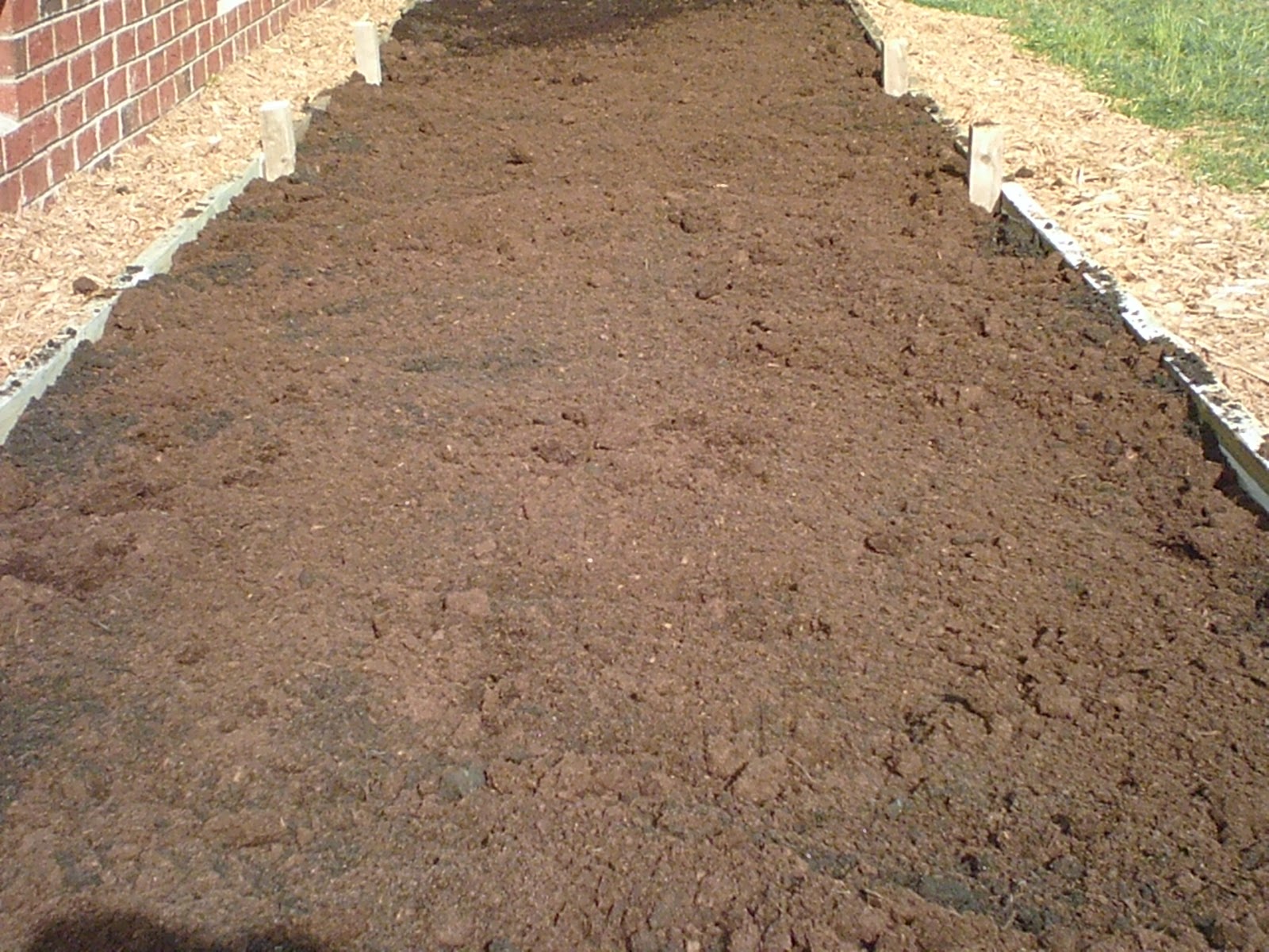 Wormsacrawling farm Sunflower bed done