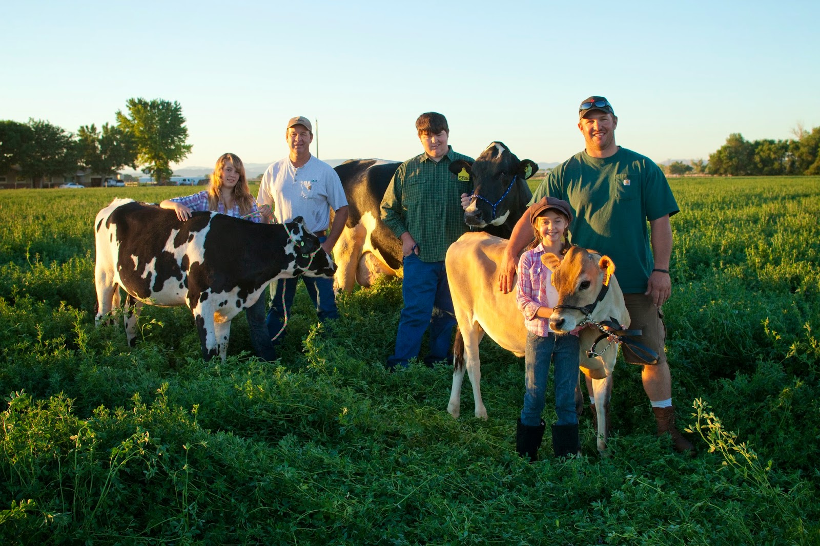 Northern Nevada Dairymen June Is National Dairy Month northern-nevada-dairymen-june-is-national-dairy-month