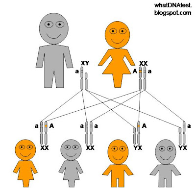 diagram of X-linked dominant genetic inheritance pattern, mother is affected father is normal, 50% children affected, by whatdnatest