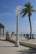 Florida's beaches (mg )