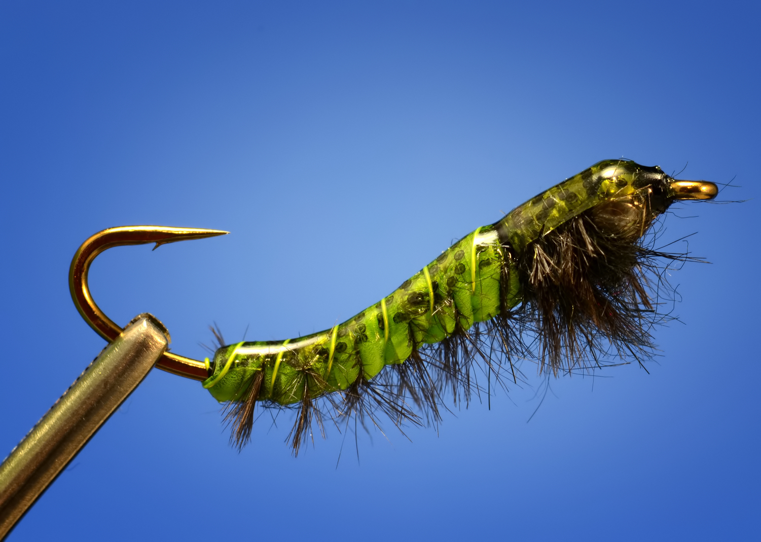 Rock worms that rock. Fly Fish Food