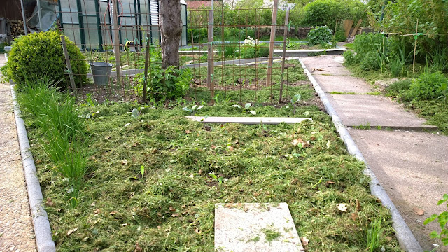 Gemüsegarten im Mai (c) by Joachim Wenk Gemüsegarten im Mai (c) by Joachim Wenk