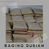 Tersedia Daging Durian Medan di Sanggau