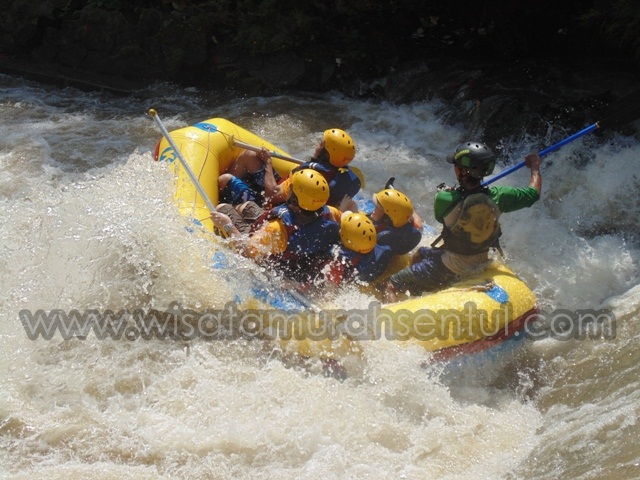 Harga Paket Rafting Sentul di Sungai Kalibaru