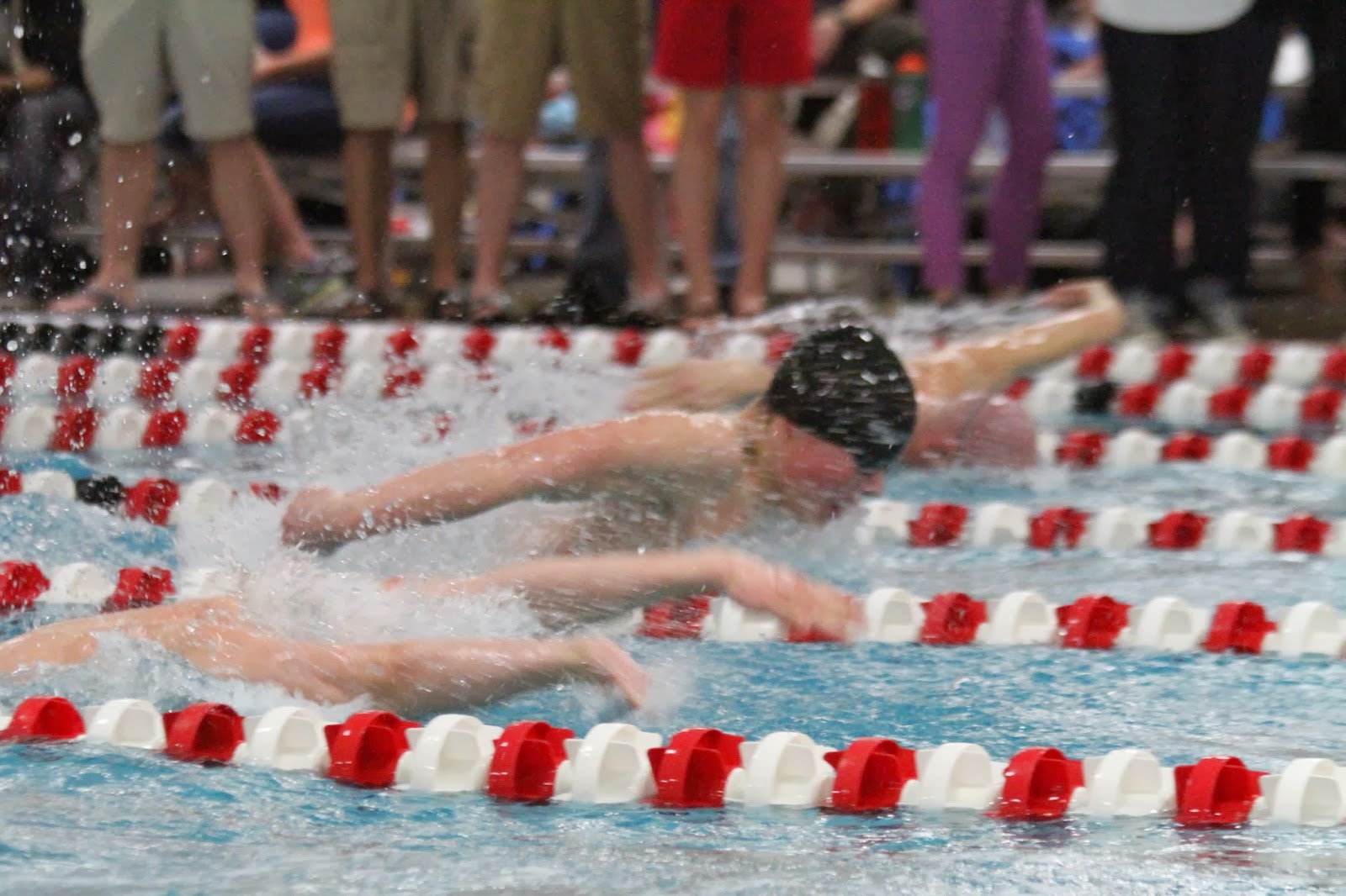 Craig Boys Swim Team WIAA Sectionals