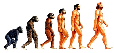 Evolución del Hombre Imagen de la Evolución del Hombre