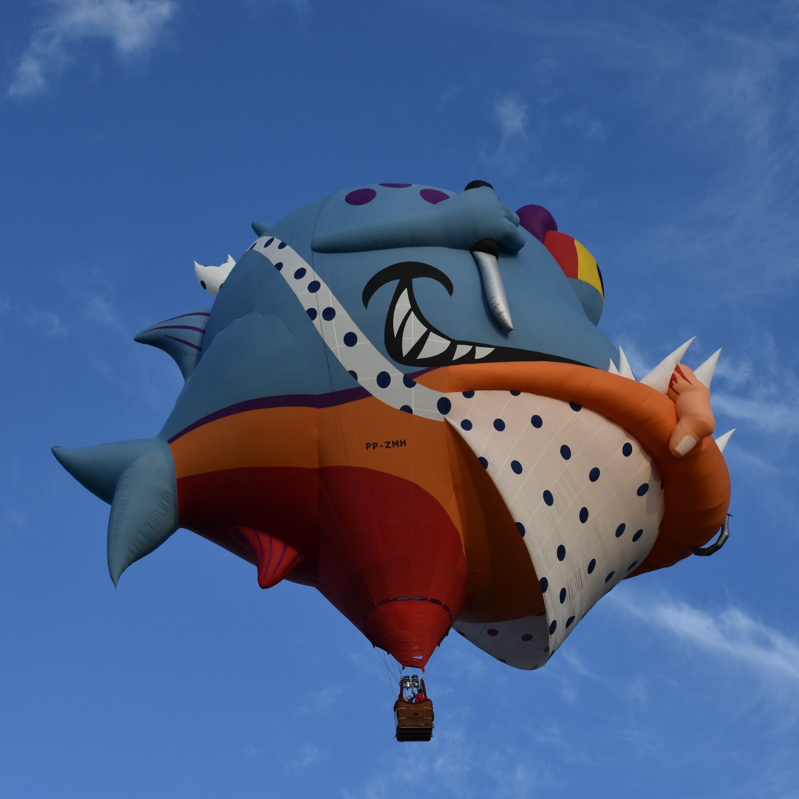 Tauranga Spotter BALLOONS OVER WAIKATO