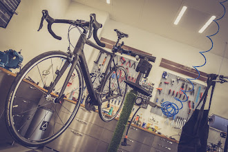 SCHADE CARBON FRAME?