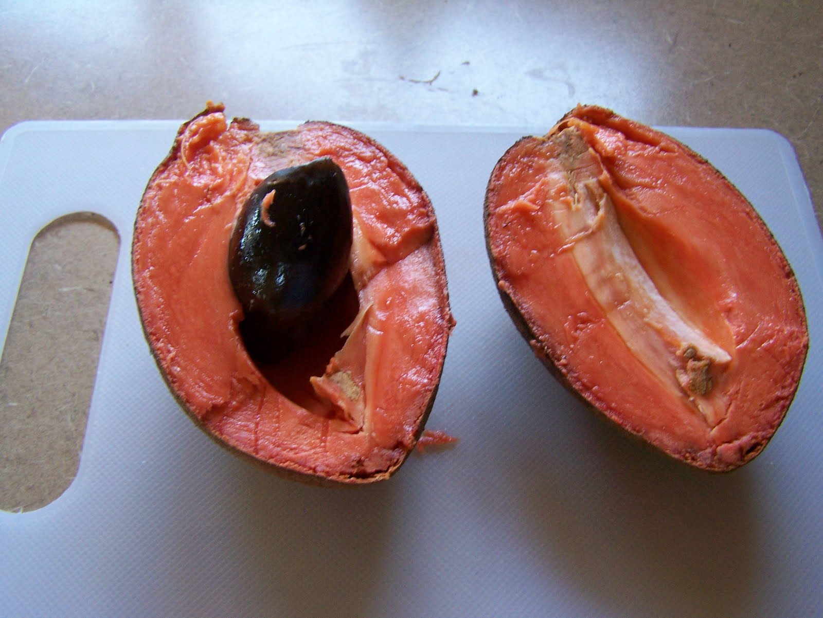 My First Sapote