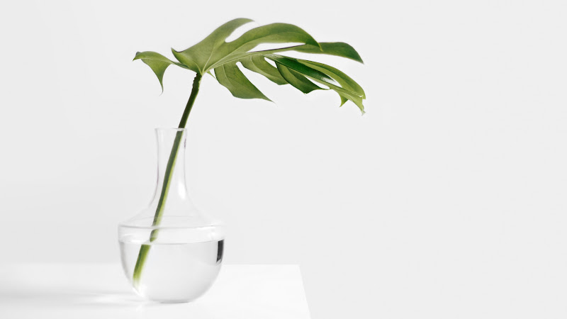 Minimalism Design