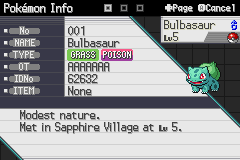 pokemon wish screenshot 3