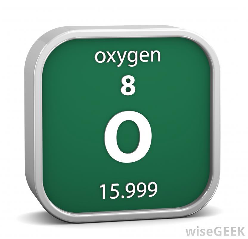 My Image 12