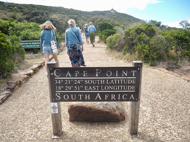 Cape Point, Cape Peninsula, South Africa