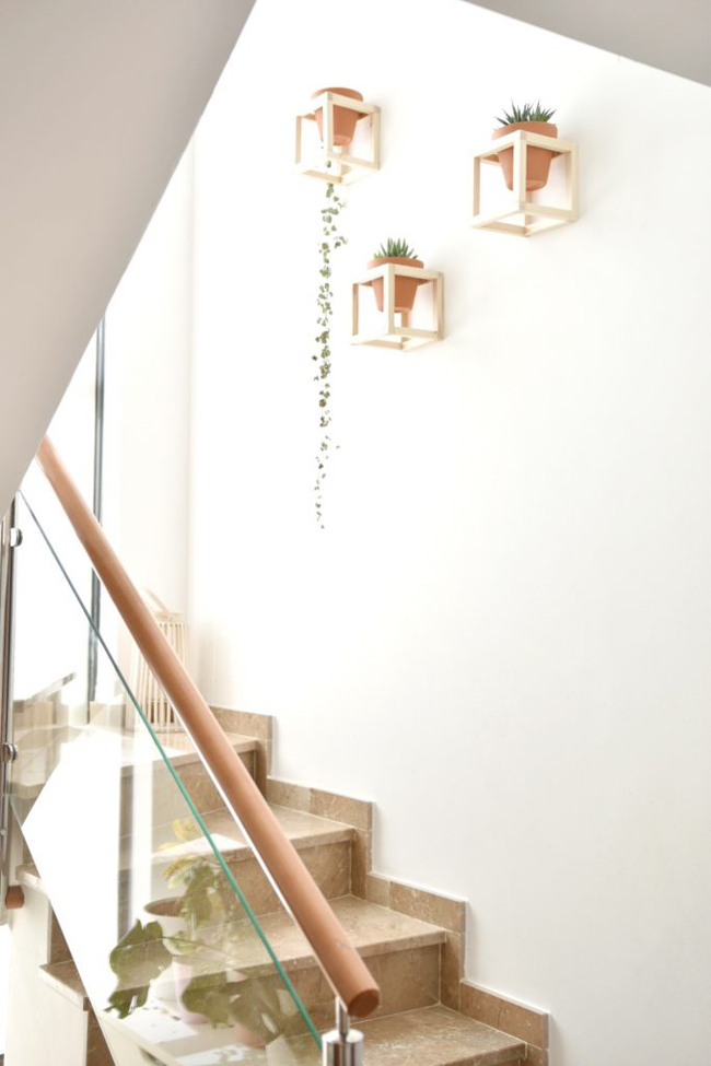 4 DIY con plantas que querrás tener en tu casa 4 DIY con plantas que querrás tener en tu casa