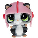 Littlest Pet Shop Pet Pairs Sugar Glider (#1823) Pet