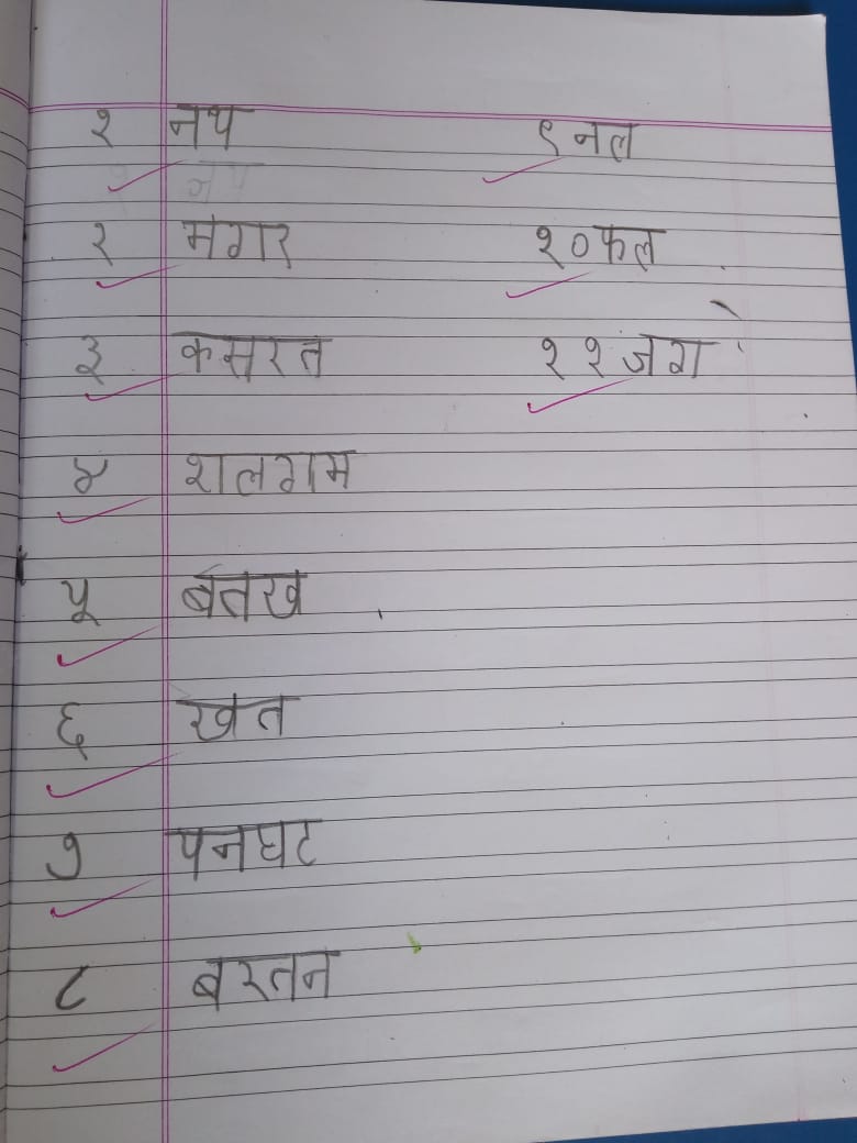 Hindi -Bina matra wale shabd (note book )