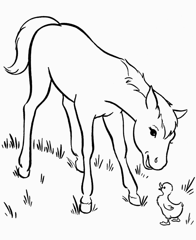 free coloring pages online horses - photo #12