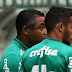 Scarpa poderá atuar pelo Palmeiras enquanto não houver mudança no BID, diz especialista