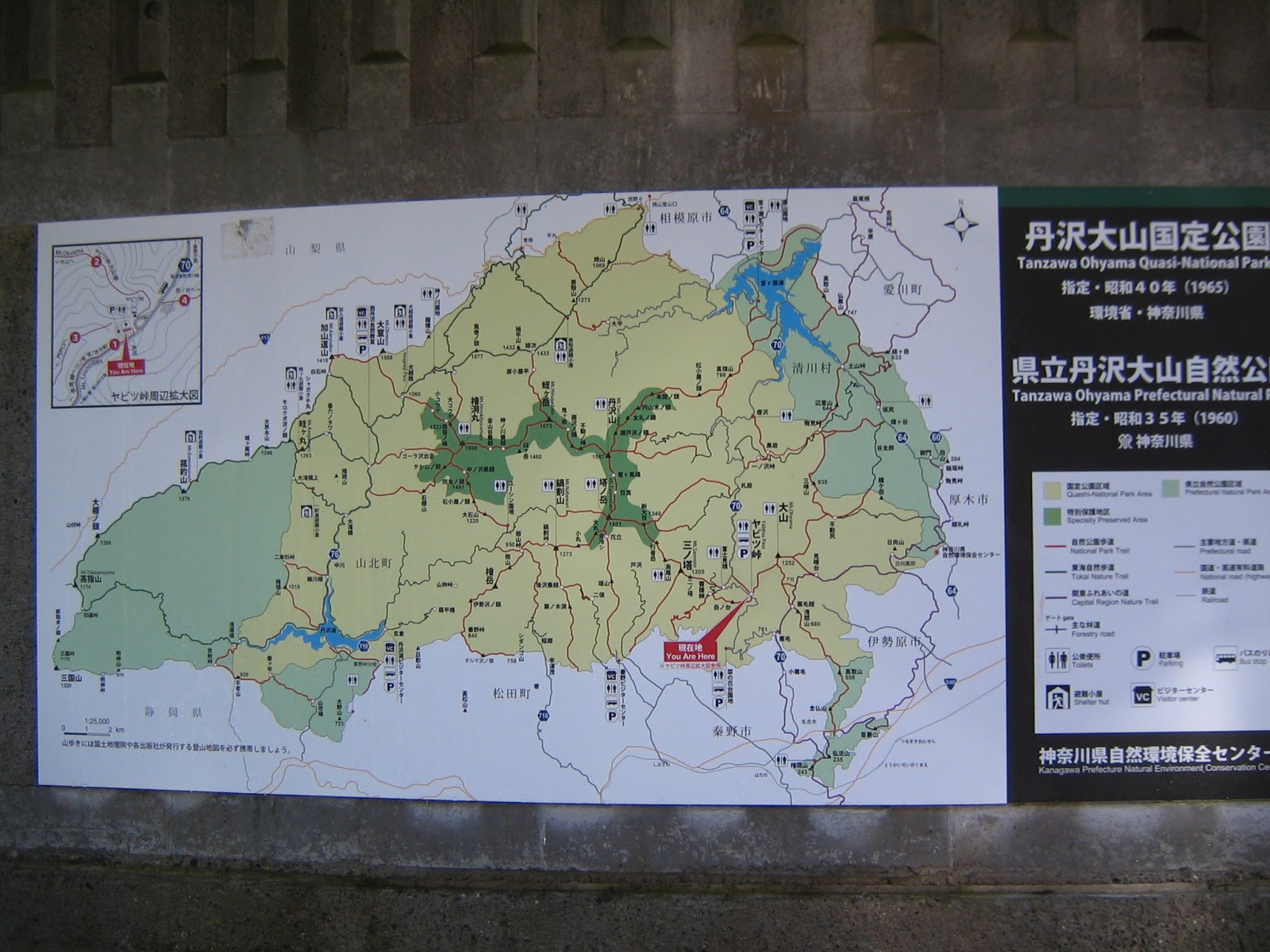 Adventure In Yokohama Citizen Forest For Your Perfect Green Tea Takenodai Hike In Tanzawa For Beginners