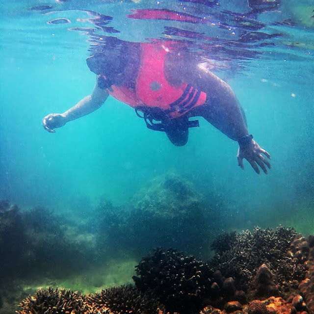 snorkeling pulau panjang snorkeling pulau panjang