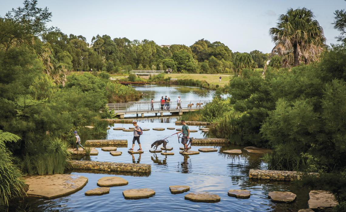Sydney's 1st DogFriendly Pool Now Open! Australian Dog Lover