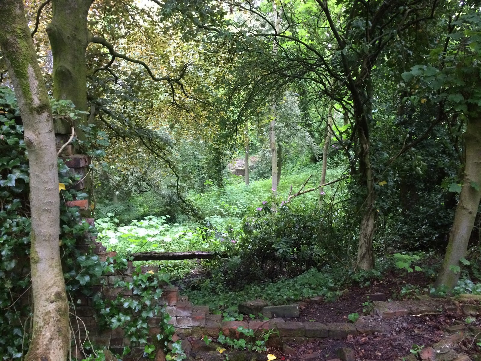 Keeping Care of Hopwood Life on Pig Row