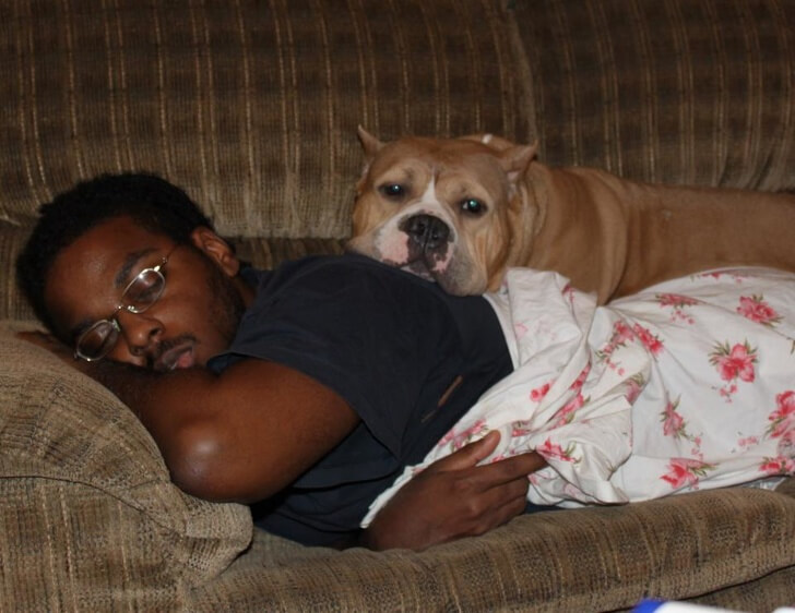 24 Heart-Melting Pictures Of Dogs Who Truly Love Their Human Companions