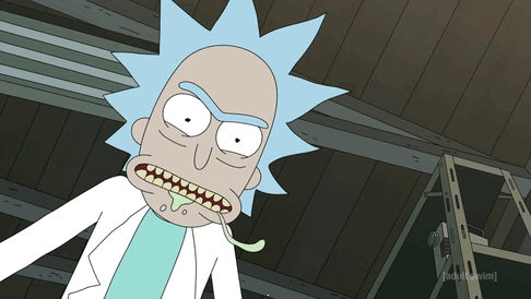 pull rick et morty machiavélique