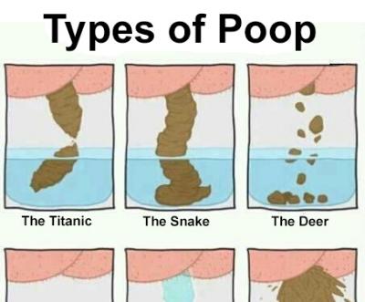 Know The Types Of Poop And What They Reveal About Your Health ...