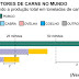 FGV-SP 2019: No infográfico, indicado a seguir, x, y, z e w representam comprimentos em uma mesma unidade de medida