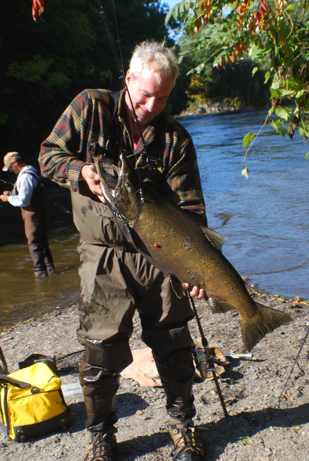 Litton's Fishing Lines Pulaski Salmon Surge Salmon River Run Soon