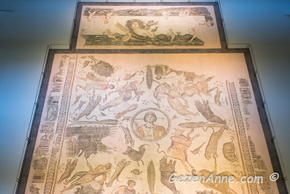Hatay Arkeoloji Müzesi'ndeki mozaikler