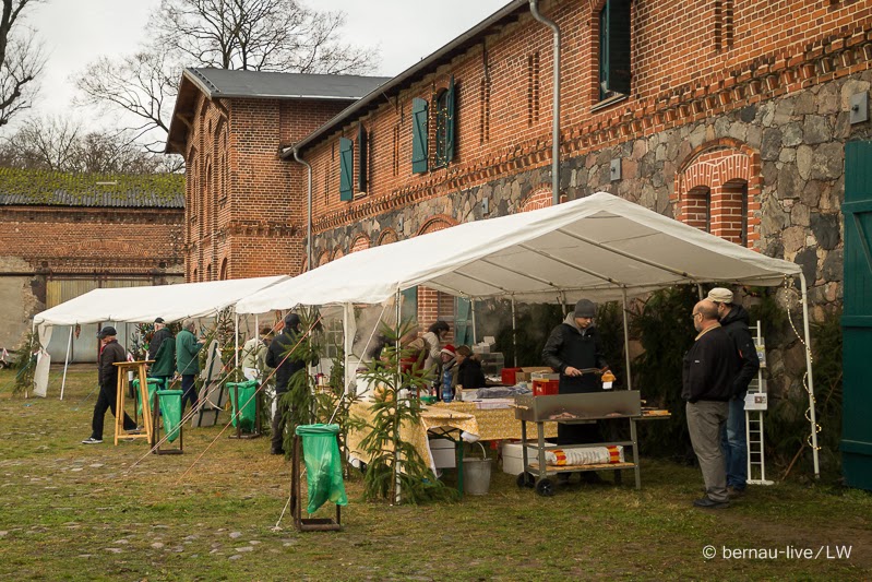 Bernau LIVE - Dein Stadtmagazin für Bernau bei Berlin