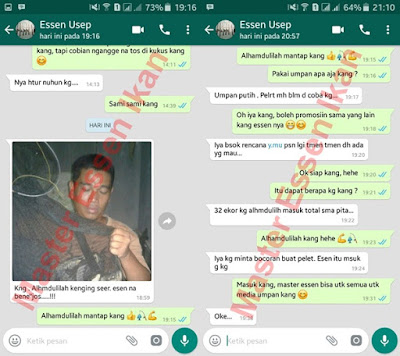 Essen Ikan Mas Di Segala Cuaca Dari Master Essen Essen Ikan Mas Di Segala Cuaca Dari Master Essen